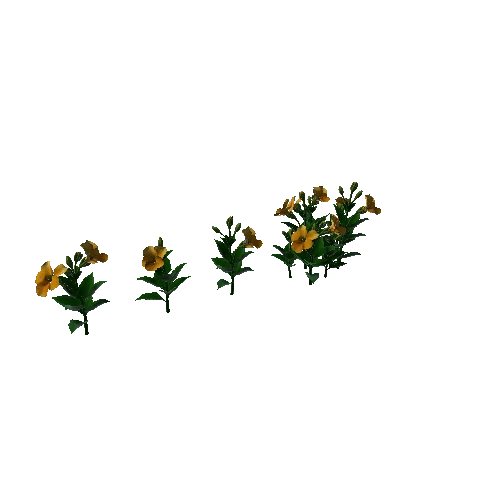 Flower Pansies2